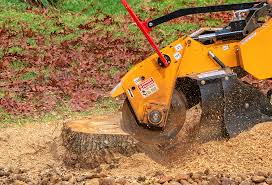 Best Soil Testing and Treatment  in Canby, OR