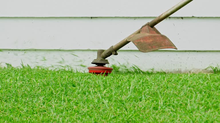 Best Tree Removal  in Canby, OR